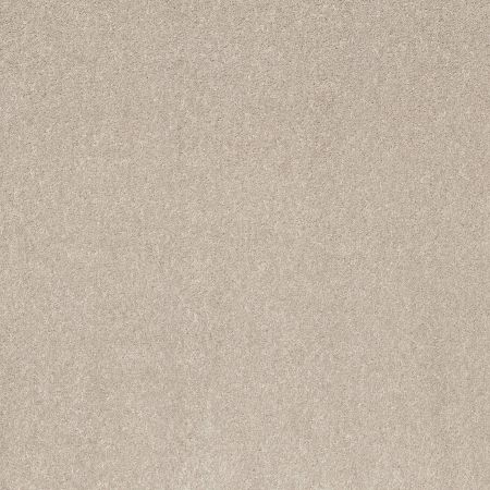 Shaw Floors Prevalent Fine Linen