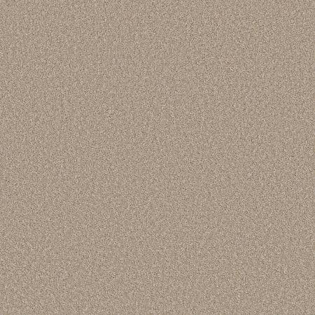 Shaw Floors Prevalent Sunlit Ivory