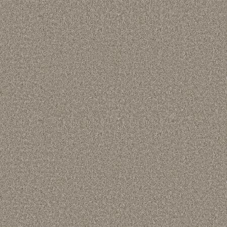 Shaw Floors Prevalent Dried Herb