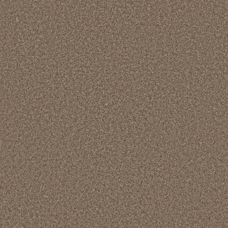 Shaw Floors Prevalent Earthen