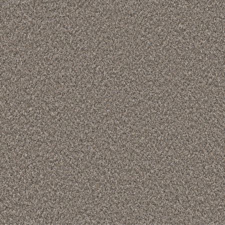 Shaw Floors Pet Perfect Remixed Classic Net Cobble Drive