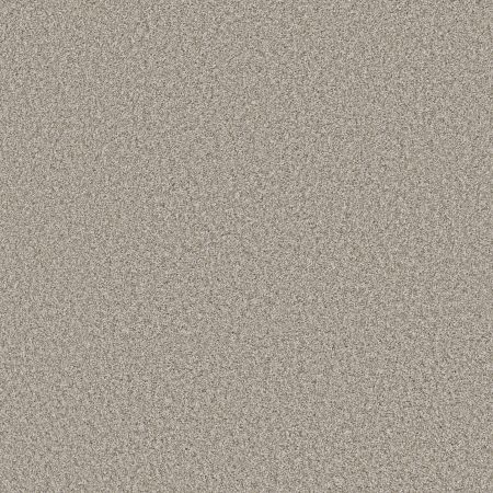 Shaw Floors Pet Perfect Remixed Classic Net Canoe