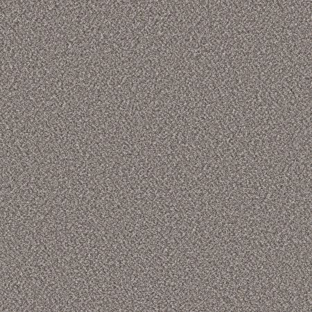 Shaw Floors Pet Perfect Remixed Classic Net Mineral