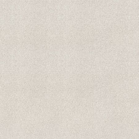 Shaw Floors SFA Tonal Comfort I Net Clean Linen