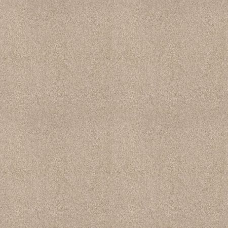 Shaw Floors SFA Tonal Comfort I Net Happy Place