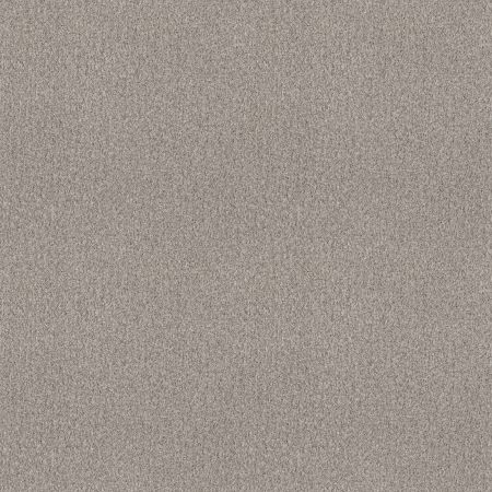 Shaw Floors SFA Tonal Comfort I Net Chill In The Air