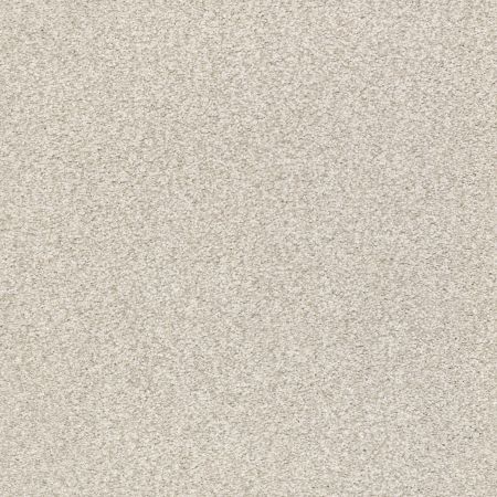 Shaw Floors SFA Tonal Comfort I Net Need A Hug