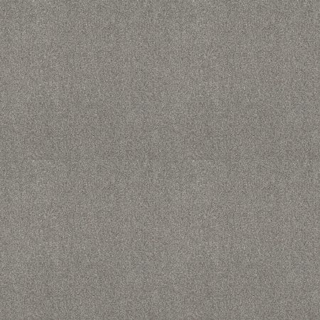 Shaw Floors SFA Tonal Comfort I Net Cool Breeze