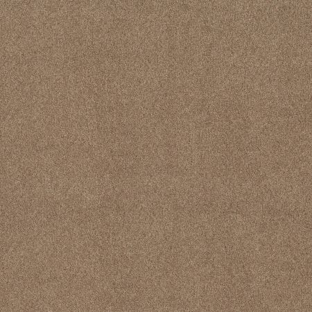 Shaw Floors SFA Tonal Comfort I Net Falling Leaves