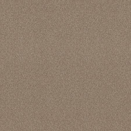 Shaw Floors SFA Tonal Comfort I Net Honey Tea