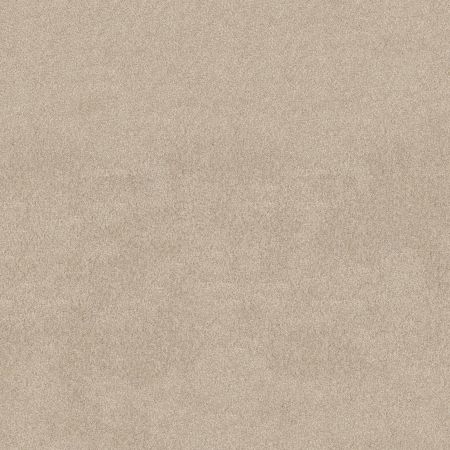 Shaw Floors SFA Tonal Comfort II Net Happy Place