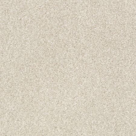 Shaw Floors SFA Tonal Comfort II Net Homemade Ice Cream