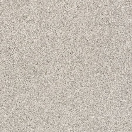Shaw Floors SFA Tonal Comfort II Net Chill In The Air