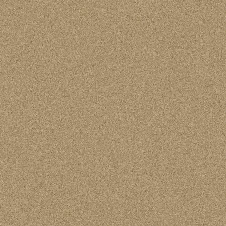 Shaw Floors SFA Tonal Comfort II Net Hello Sunshine