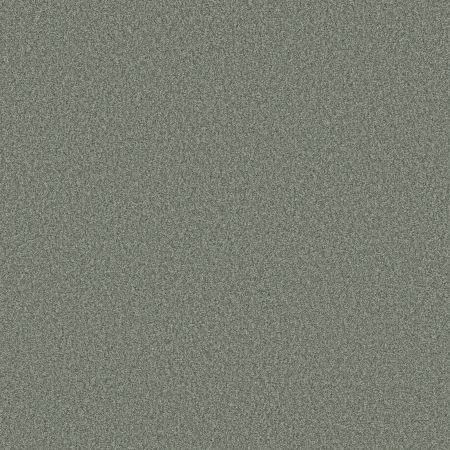 Shaw Floors SFA Tonal Comfort II Net Meadow