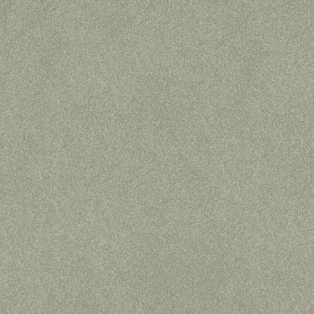 Shaw Floors SFA Tonal Comfort II Net Willow Tree