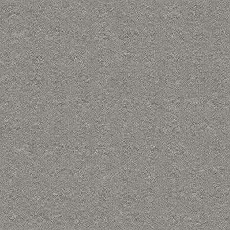 Shaw Floors SFA Tonal Comfort II Net Restful Day