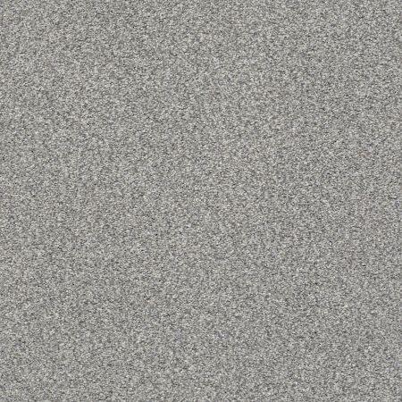 Shaw Floors SFA Tonal Comfort II Net Cool Breeze