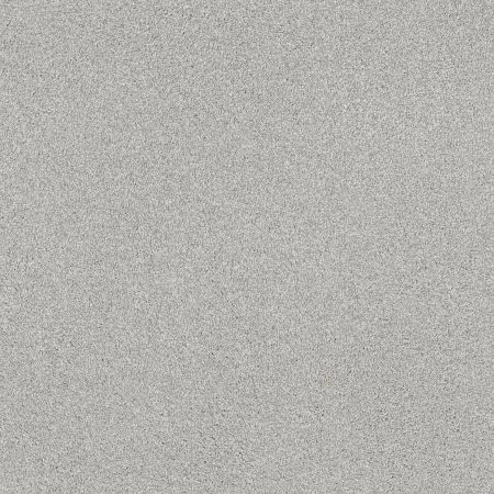 Shaw Floors SFA Tonal Comfort II Net Morning Dew