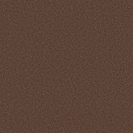 Shaw Floors SFA Tonal Comfort II Net Chili