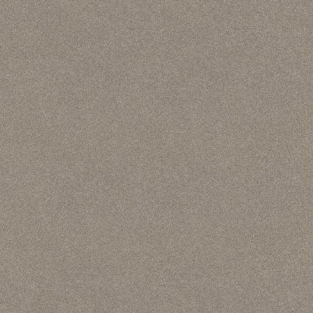 Shaw Floors SFA Tonal Comfort II Net Back Patio