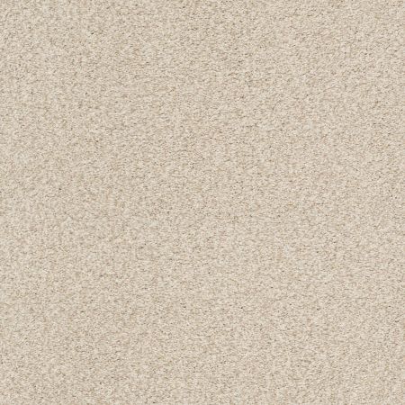 Shaw Floors SFA Tonal Comfort Blue Net Happy Place