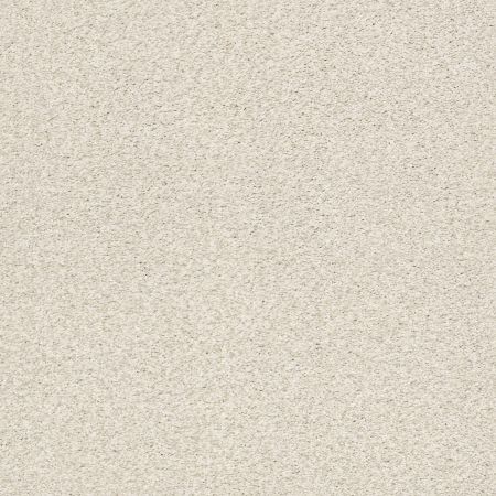 Shaw Floors SFA Tonal Comfort Blue Net Champagne Toast