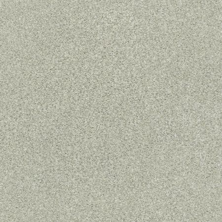 Shaw Floors SFA Tonal Comfort Blue Net Willow Tree