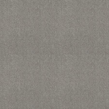 Shaw Floors SFA Tonal Comfort Blue Net Cool Breeze