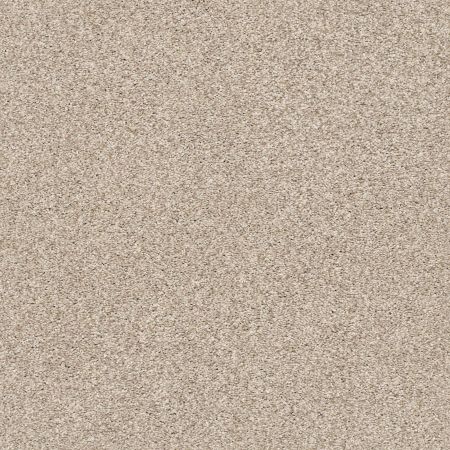 Shaw Floors SFA Tonal Comfort Blue Net My Haven