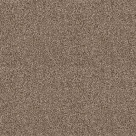 Shaw Floors SFA Tonal Comfort Blue Net Camping Trip