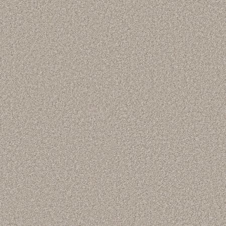 Shaw Floors Pet Perfect Ultra Lush Net Soft Sense