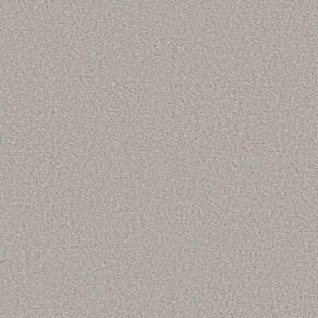 Shaw Floors Pet Perfect Ultra Lush Net Destiny