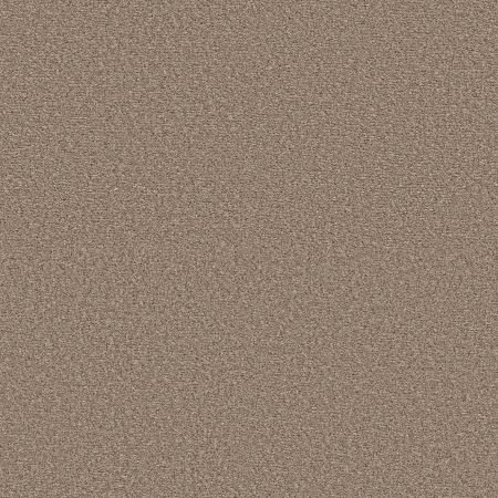 Shaw Floors Pet Perfect Ultra Lush Net Sands Of Time