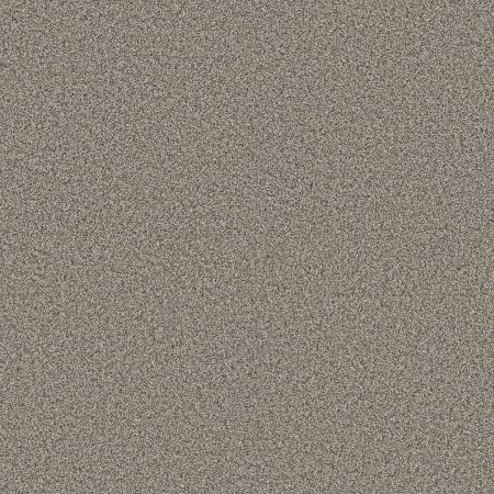 Shaw Floors Pet Perfect Plus Renewed Energy I Net Prairie Run