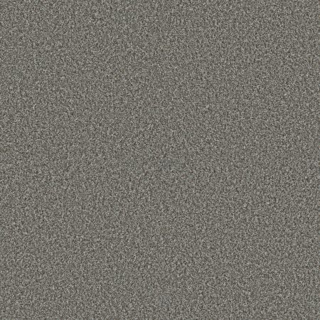 Shaw Floors Pet Perfect Plus Renewed Energy I Net Paris Sky