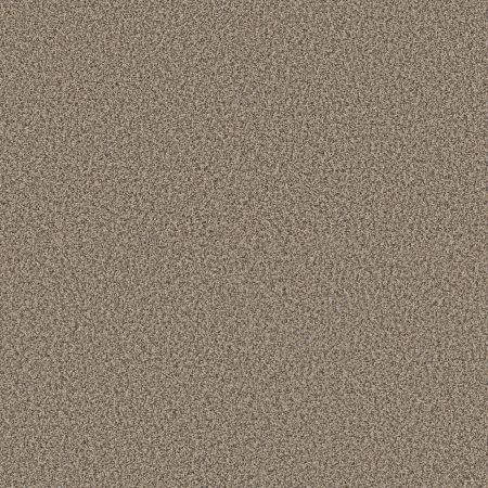 Shaw Floors Pet Perfect Plus Renewed Energy I Net Khaki