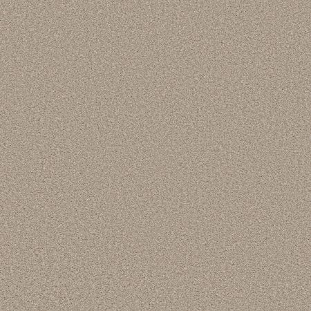 Shaw Floors Best Yet W Terms Sand