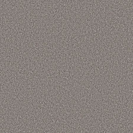 Shaw Floors Best Yet W Terms Stainless