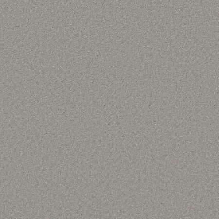 Shaw Floors Best Yet W Terms Sheer Silver