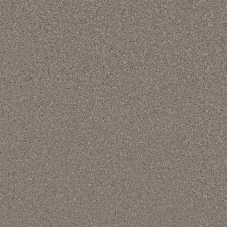 Shaw Floors Best Yet W Terms Mocha Frost