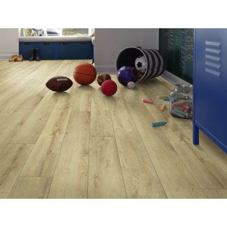 Shaw Floors 5th And Main Expedition Plus Kings Canyon