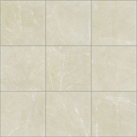 Shaw Floors Ceramic Solutions VISIONARY 20X20 Retreat