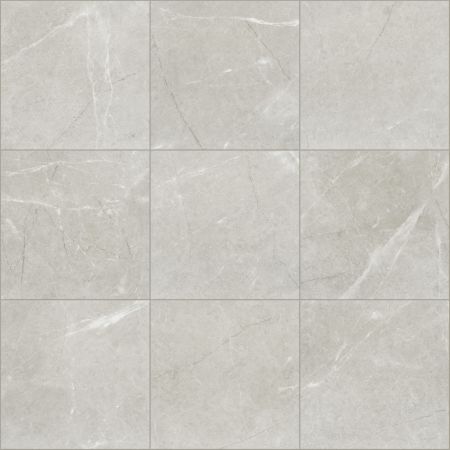 Shaw Floors Ceramic Solutions VISIONARY 20X20 Haven