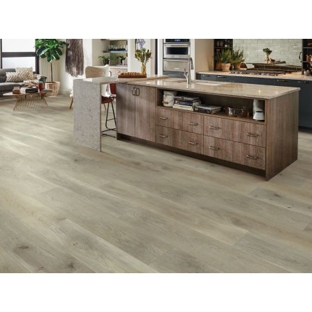 Shaw Floors SFA Adventure XL Hd+accent Cliffside