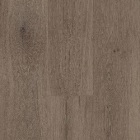 Shaw Floors SFA Adventure XL Hd+accent Singapore Brown