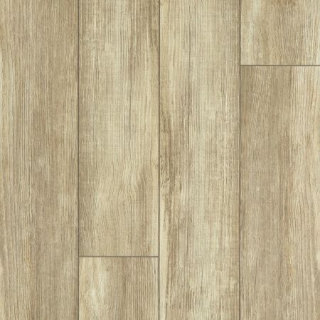 Shaw Floors SFA Adventure Hd+ Accent Olive Branch