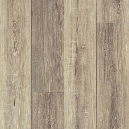 Shaw Floors SFA Adventure Hd+ Accent Sable