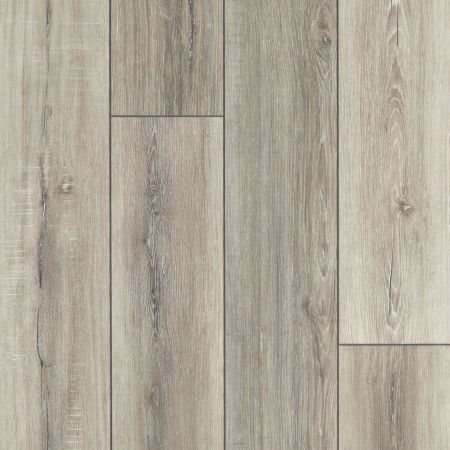 Shaw Floors SFA Adventure Hd+ Accent Basillica