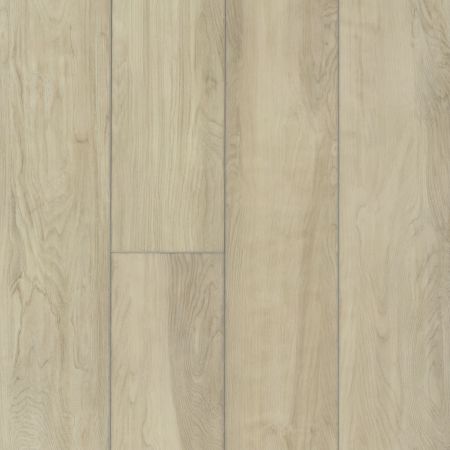 Shaw Floors SFA Awaken Hd+ Accent White Sand